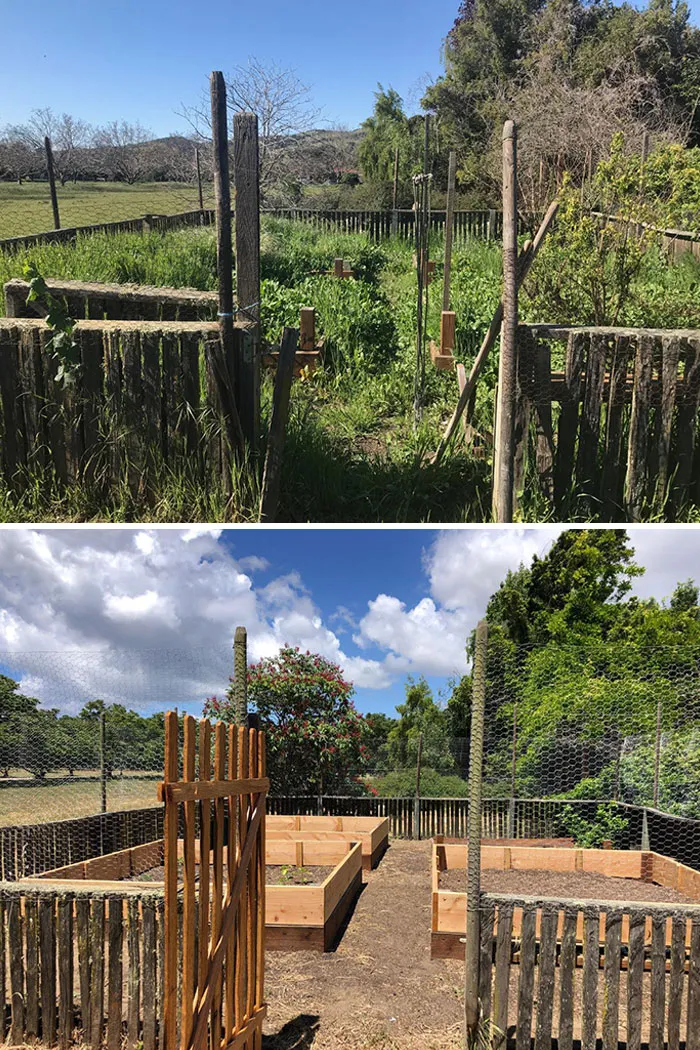 It Took Us Months Of Quarantine But We Revived The Family Garden