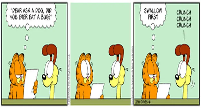 I Love Garfield :)