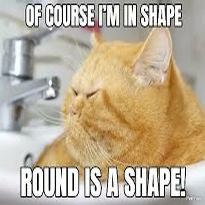 I Will Always Be In Shape