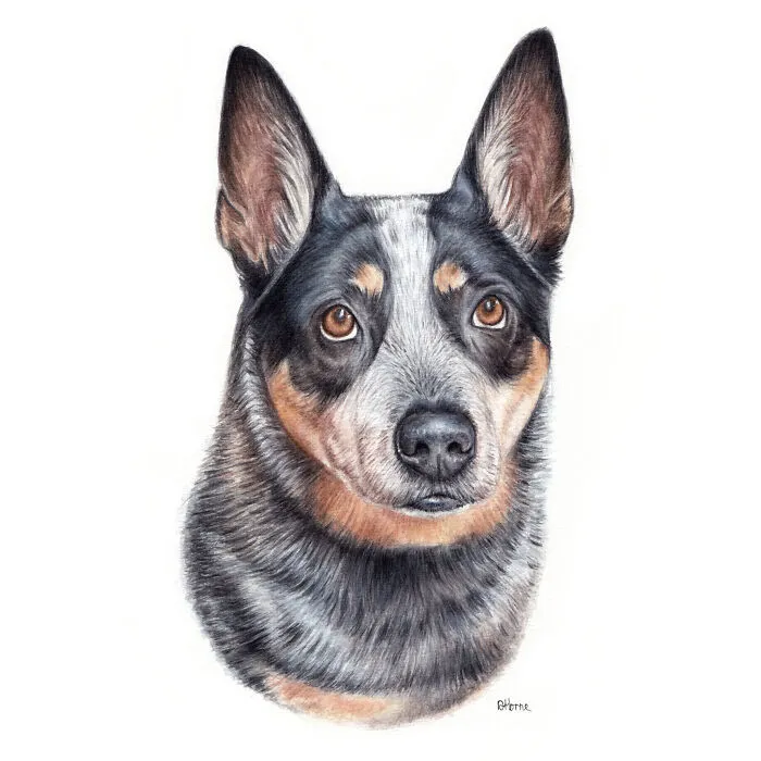 I Create Animal-Themed Paintings Using Watercolor, Ink, And Acrylic Paint, Here Are My best 70 Works