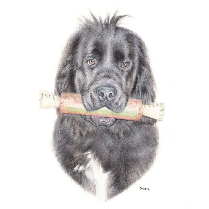 I Create Animal-Themed Paintings Using Watercolor, Ink, And Acrylic Paint, Here Are My best 70 Works