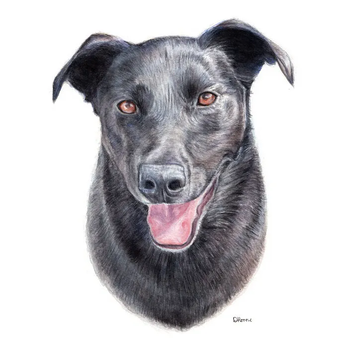 I Create Animal-Themed Paintings Using Watercolor, Ink, And Acrylic Paint, Here Are My best 70 Works