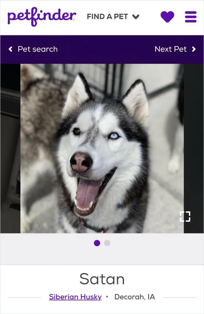 40 Hilariously-Creative Pet Names Shared By The "Petfinder Names" Twitter Page