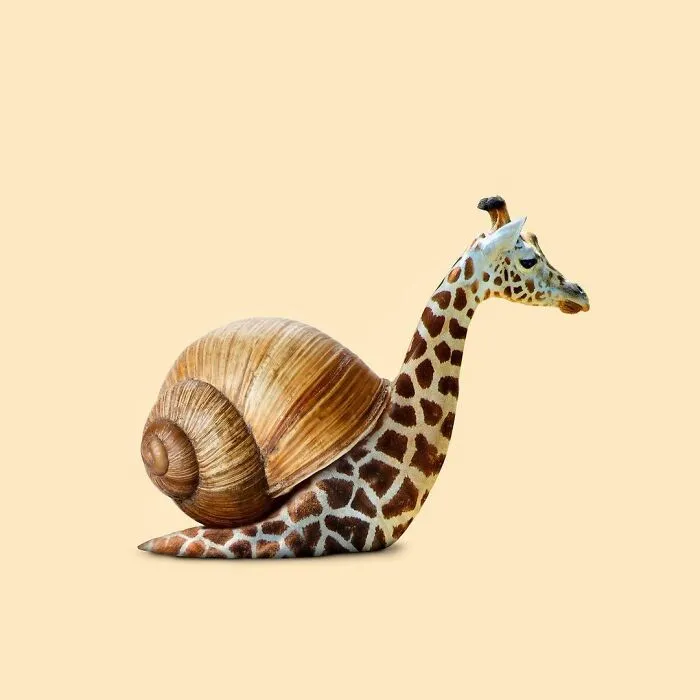100 Photo Manipulations Of Animals Photoshopped Into The Most Random Things By Les Creatonautes 