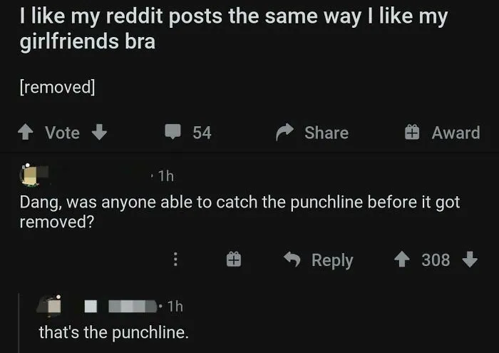 I Think The Punchline Was