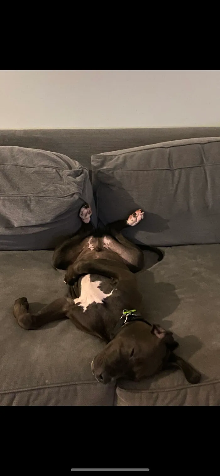 Just One Of The Many Ways He Sleeps