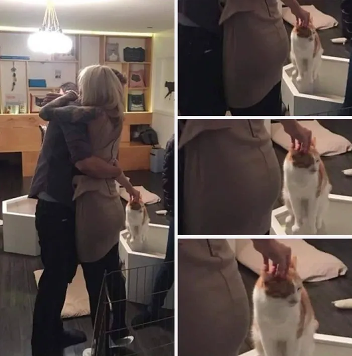 45 People Who Kept Their Cool In A Rather Unusual Situation