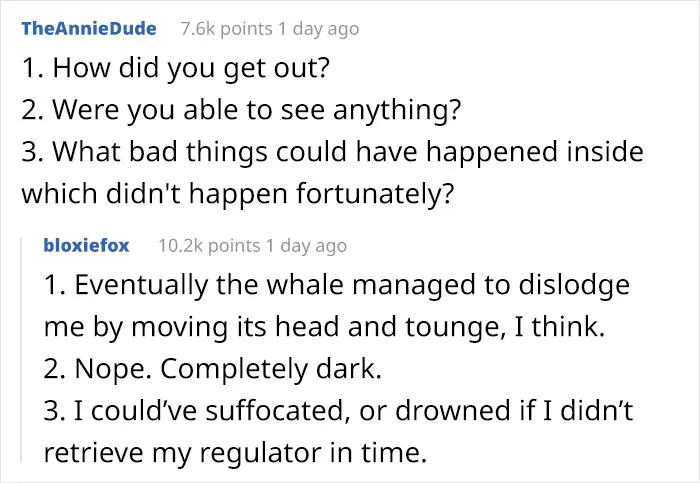 Here Are The 30 Best Answers To Questions That People Asked A Man Who Survived Being Trapped In A Humpback Whale’s Mouth