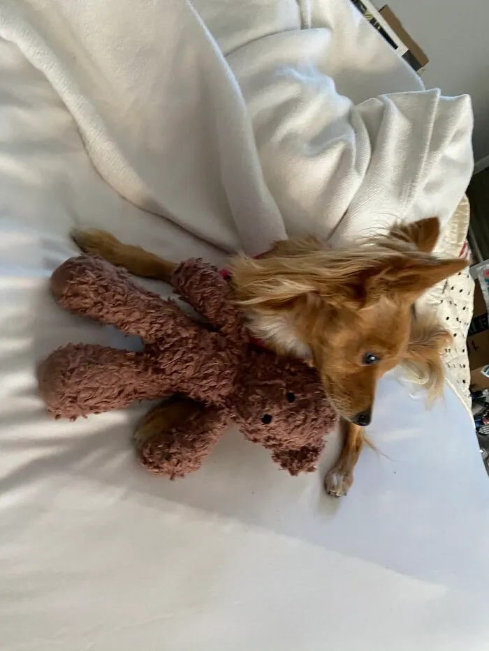 Zara And Brown Bear