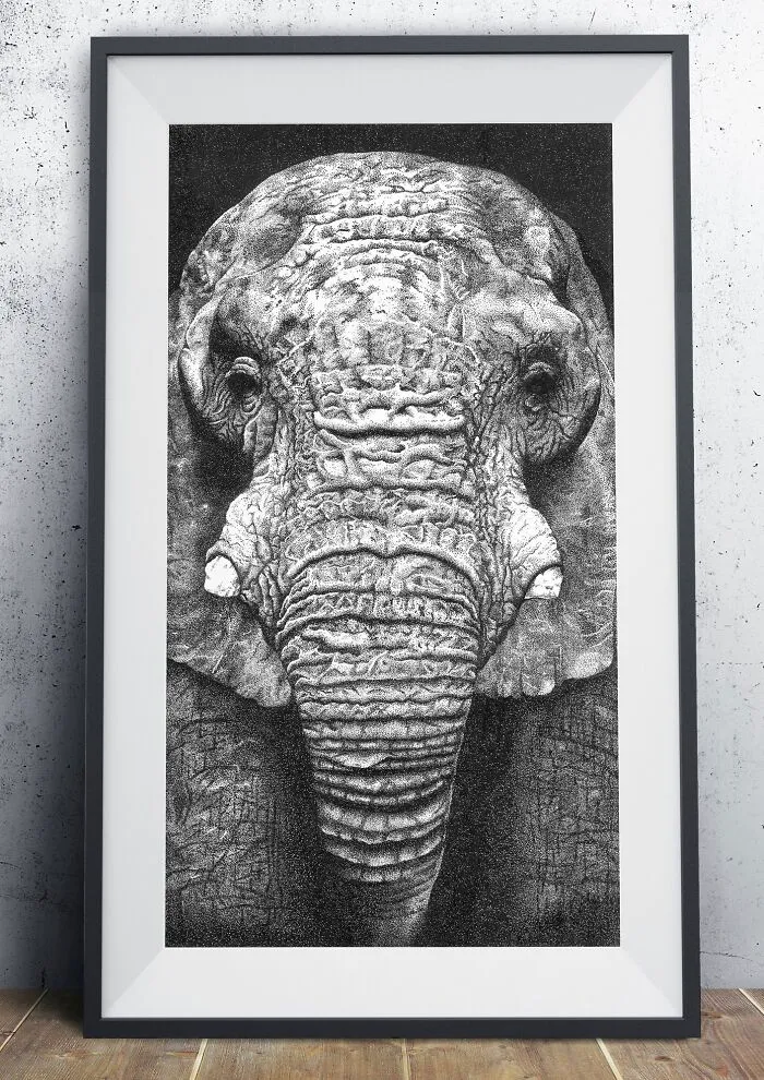 My 30 Stippling Drawings That Are Composed Of Millions Of Dots