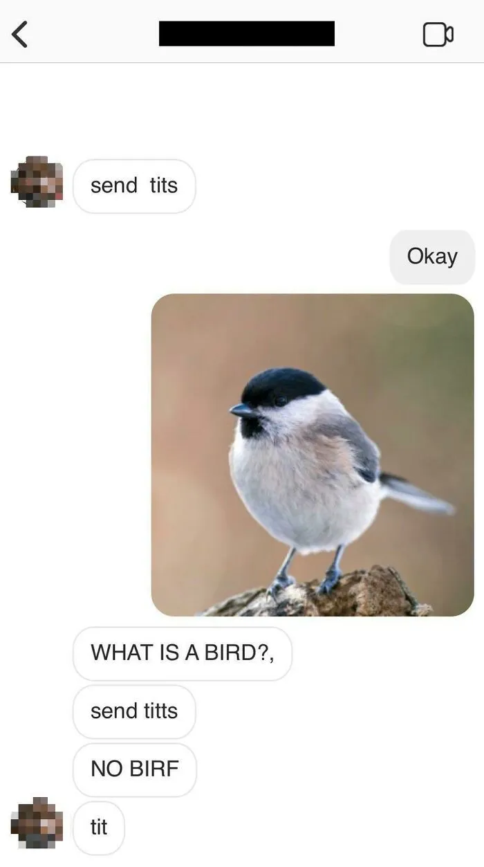 He Want No Bird