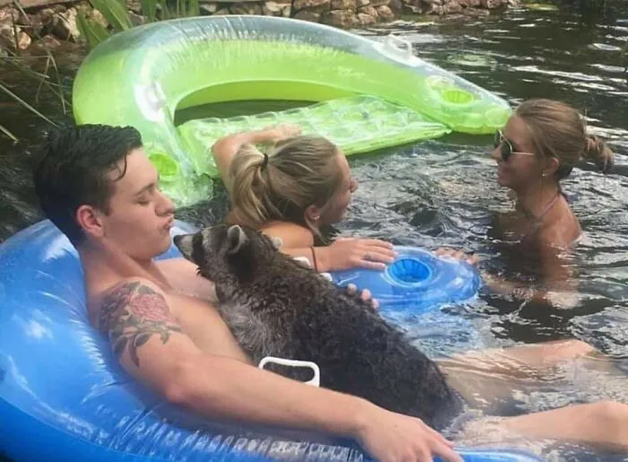 45 People Who Kept Their Cool In A Rather Unusual Situation