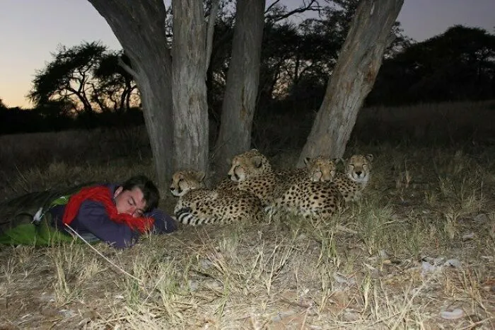 45 People Who Kept Their Cool In A Rather Unusual Situation
