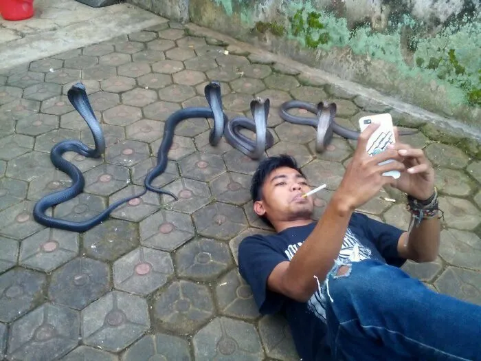 45 People Who Kept Their Cool In A Rather Unusual Situation