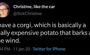 50 Times People Dropped A Sentence That Probably No One Has Ever Thought Of Before, As Shared In This Group