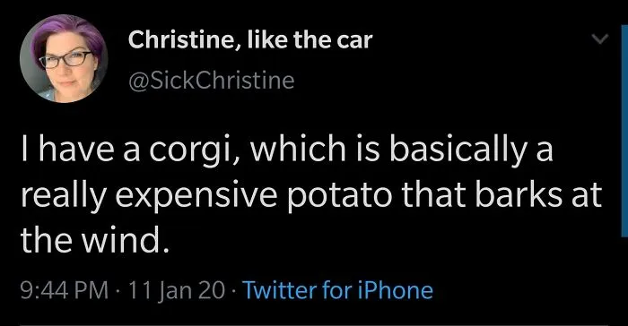 Expensive Potato That Barks At The Wind