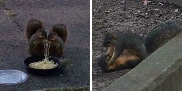 50 Fotos extrañas de animales que “no tienen explicación”