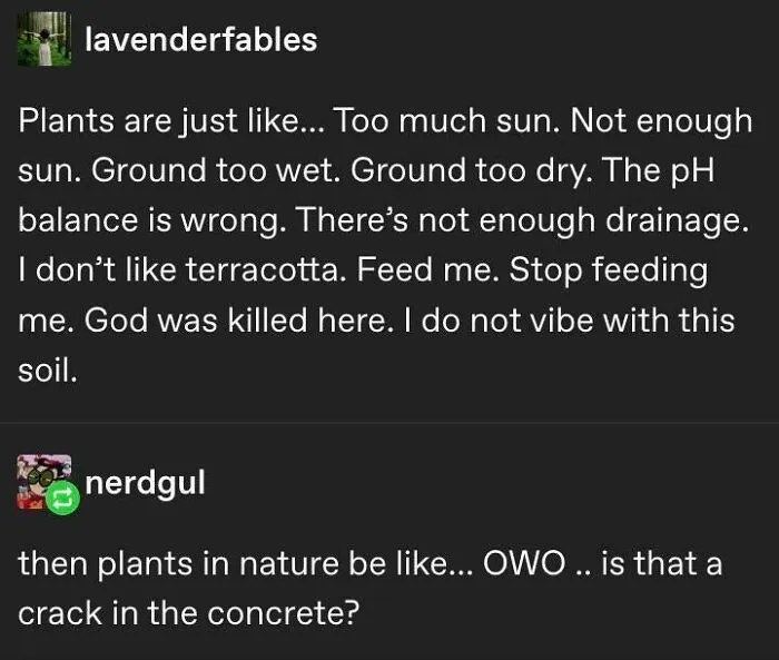 I Do Not Vibe With This Soil