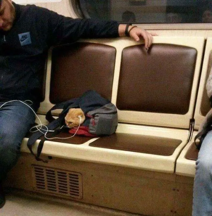 50 Fotos extrañas de animales que “no tienen explicación”