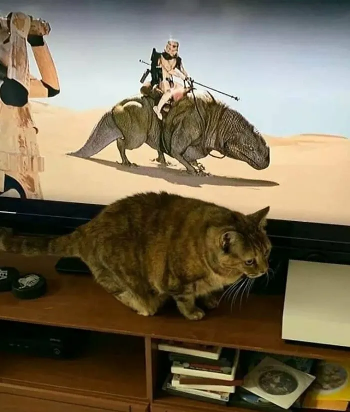 Hmmm