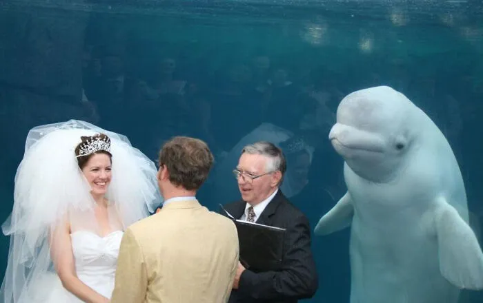 50 Weird Animal Photos That “Cannot Be Explained”