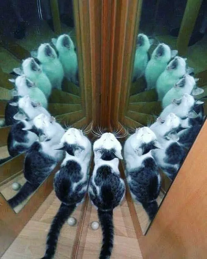 Hmmm