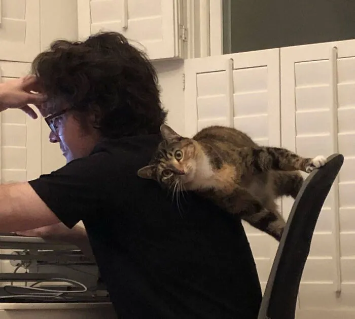 50 Weird Animal Photos That “Cannot Be Explained”