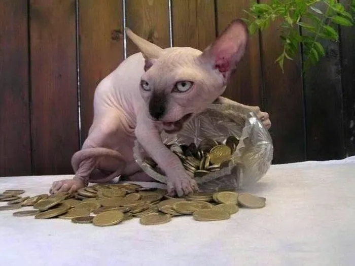 50 Weird Animal Photos That “Cannot Be Explained”