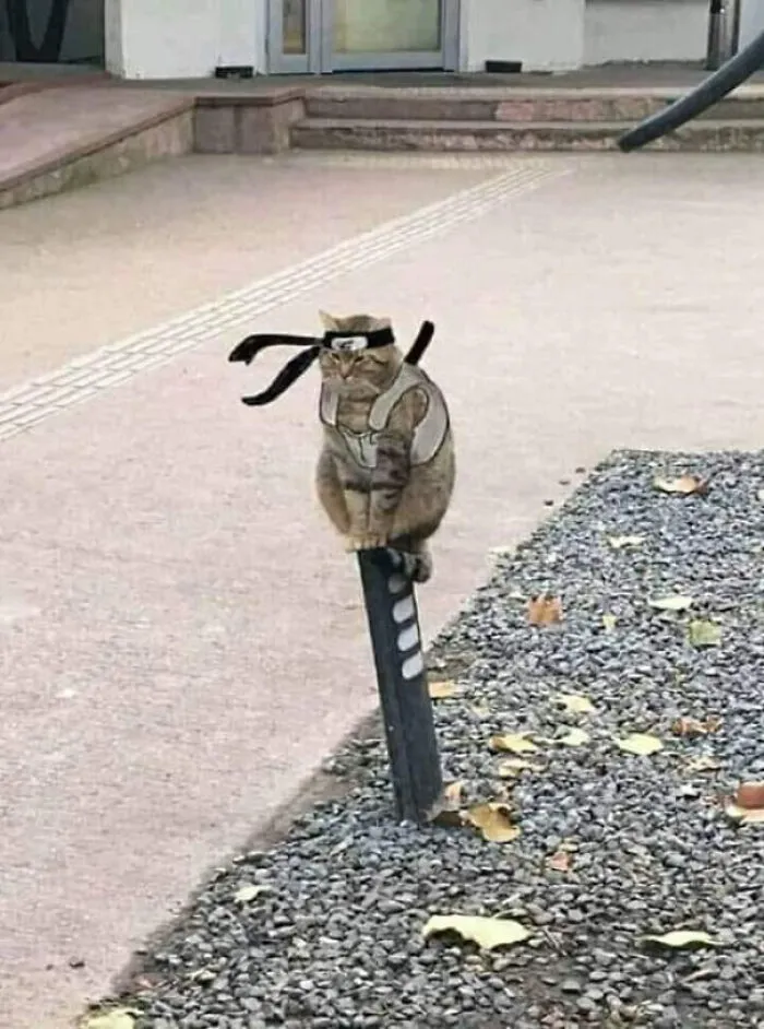 Hmmm