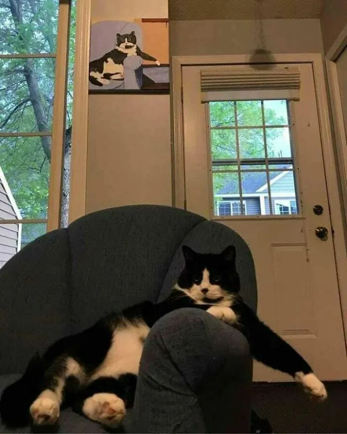50 Fotos extrañas de animales que “no tienen explicación”