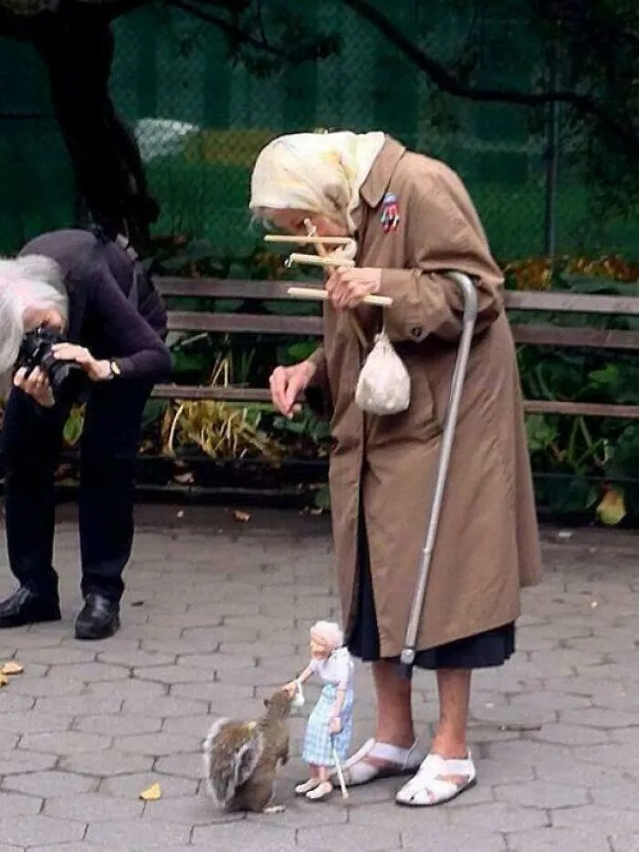50 Weird Animal Photos That “Cannot Be Explained”