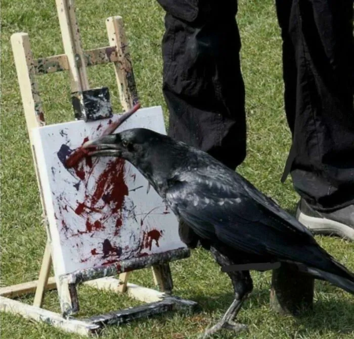 50 Fotos extrañas de animales que “no tienen explicación”