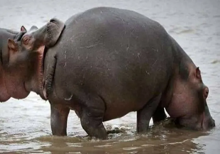 Hmmm