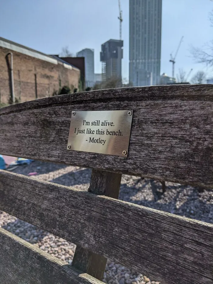 Esta banca en Manchester, Reino Unido: "Sigo vivo. Me gusta esta banca"