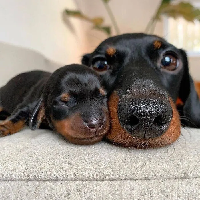 Lou junto a su pequeño