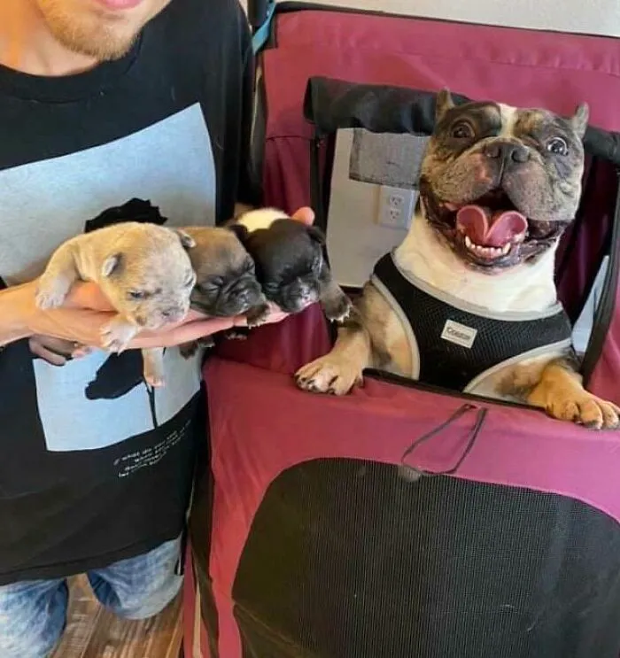 Cuando Ravioli vio a sus cachorros por primera vez