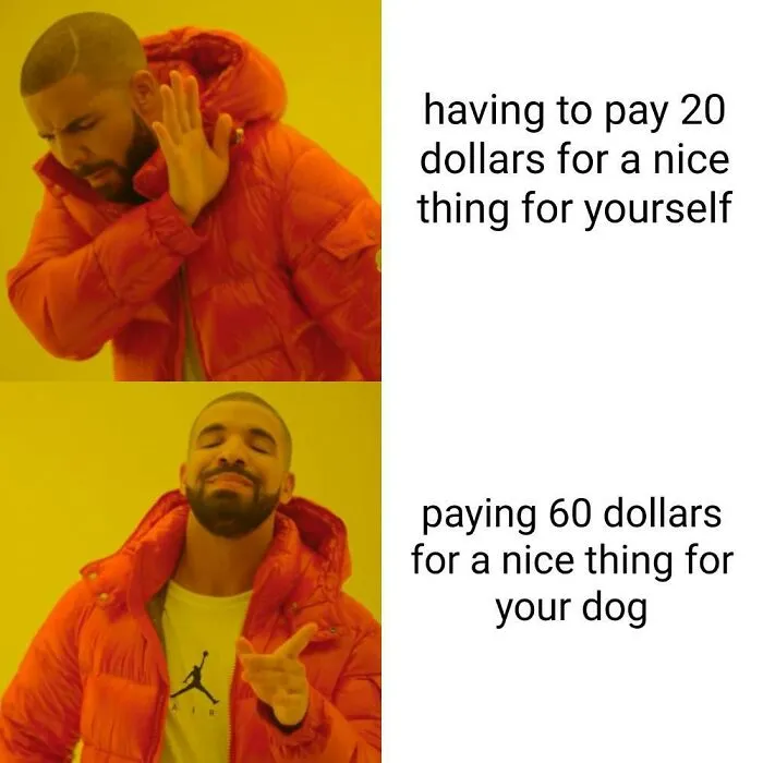 40 Truthful Memes About What It's Like To Have A Dog