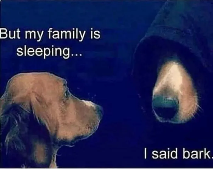40 Truthful Memes About What It's Like To Have A Dog