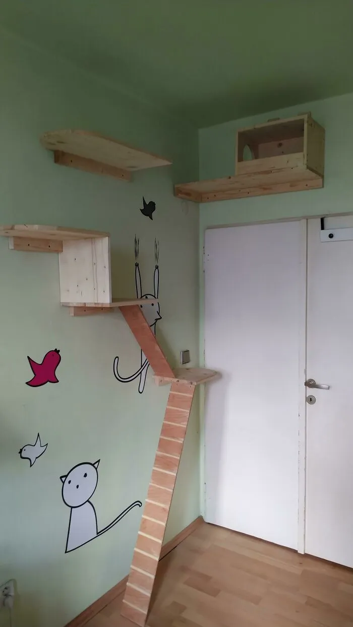 I Made A House For My Cat And Im Super Proud Of It. Also My First Time Doing Something Like This, Because Im Just 14