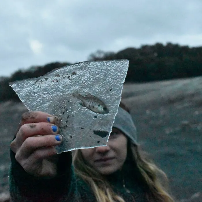 Found This Fish Was Frozen In Piece Of Ice, Texas 2021