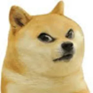 angry doge