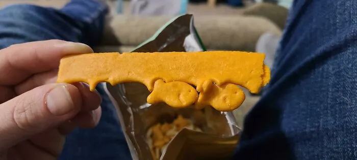 Found An Edge Piece In My Bag Of Goldfish