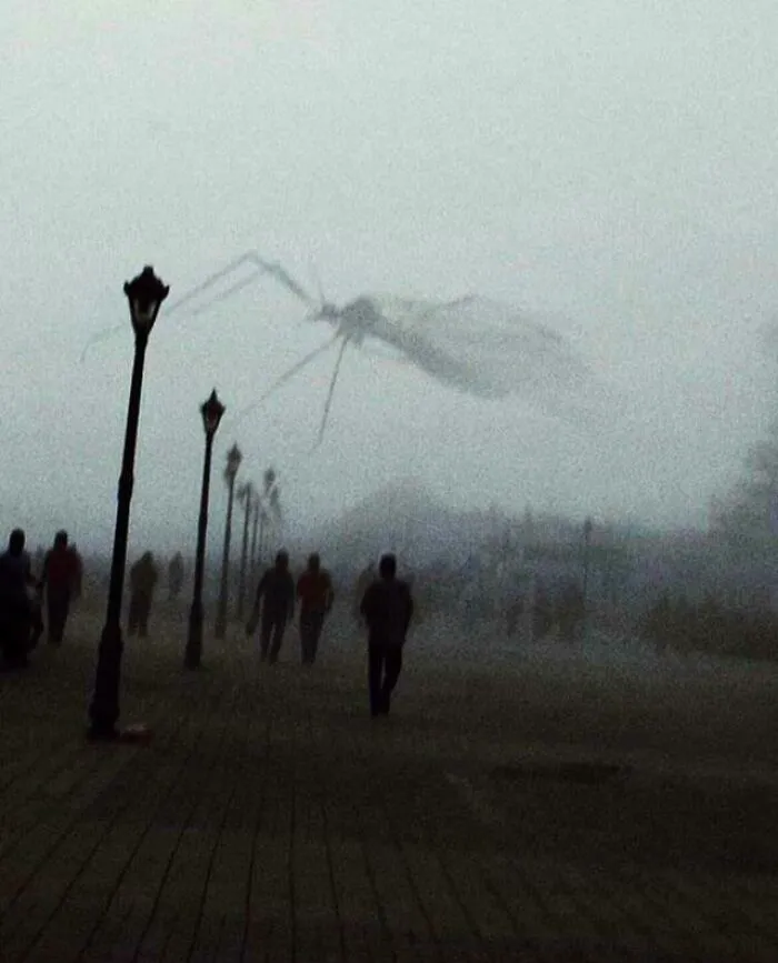 Mosquito Flies In Front Of The Lens
