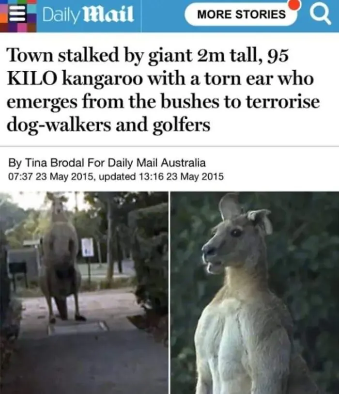 Wtf Nope!