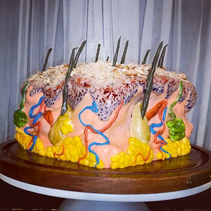 El pastel de "piel" que hice para celebrar el comienzo de la residencia de dermatología. Todo el mundo pensó que era delicioso