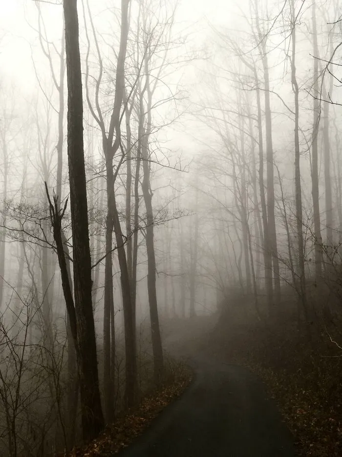 Mi camino de entrada hoy