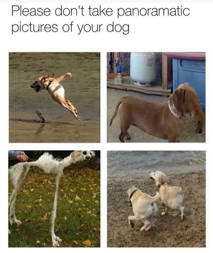 This Meme