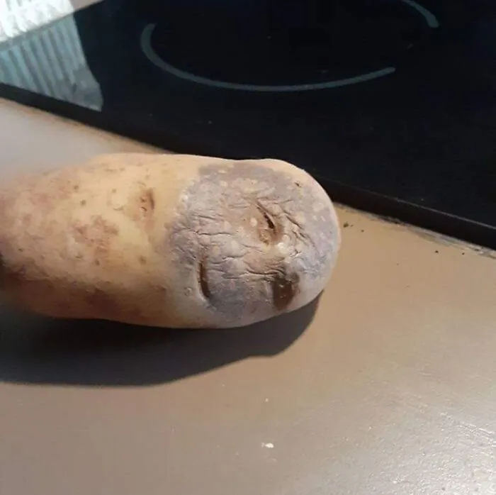 Esta papa
