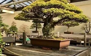50 Facts That Prove Japan Is Unlike Any Other Country (New Pics)