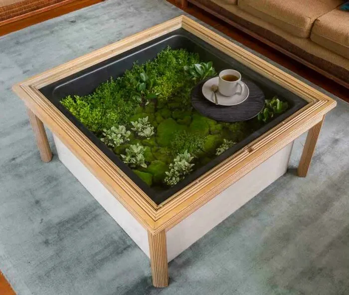 Una mesa de café con un terrario